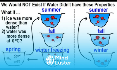 Can You Believe It 12 We Would NOT Exist If Water Didn t Have These Properties