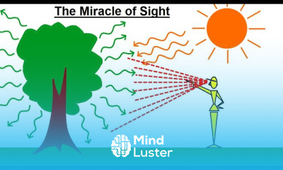 Can You Believe It 15 The Miracle of Sight