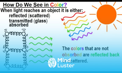 Can You Believe It 16 How Do We See in Color