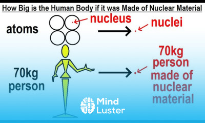 Can You Believe It 26 How Big is the Human Body if it was Made Entirely of Nuclear Material