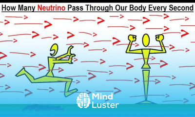Can You Believe It 31 How Many Neutrinos Pass Through Our Body Every Second