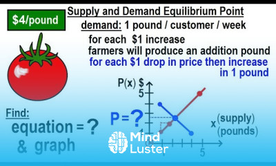 Algebra Ch 32 Application of Linear Equations 11 of 11 Supply and Demand Equilibrium Point
