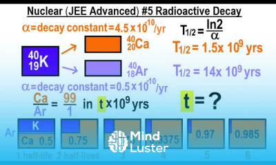 JEE Advanced Physics 2019 Paper 1 4 5 Radioactive Decay