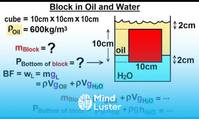 Physics Ch 33A Test Your Knowledge Fluid Statics 16 of 36 Block in Oil and Water