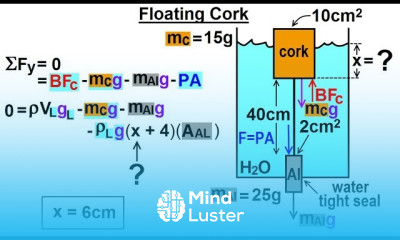 Physics Ch 33A Test Your Knowledge Fluid Statics 20 of 36 Floating Cork VERY INTERESTING