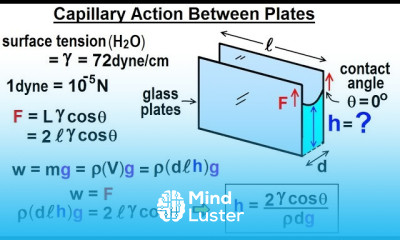 Physics Ch 33A Test Your Knowledge Fluid Statics 31 of 42 Capillary Action Between Plates