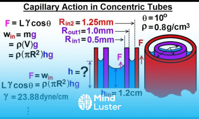 Physics Ch 33A Test Your Knowledge Fluid Statics 33 of 42 Find h in the Outside Tube