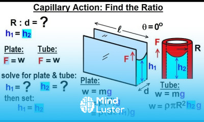 Physics Ch 33A Test Your Knowledge Fluid Statics 34 of 42 Capillary Action Find the Ratio