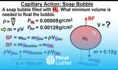 Physics Ch 33A Test Your Knowledge Fluid Statics 36 of 42 Capillary Action Soap Bubble