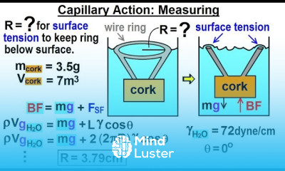 Physics Ch 33A Test Your Knowledge Fluid Statics 37 of 42 Capillary Action Measuring