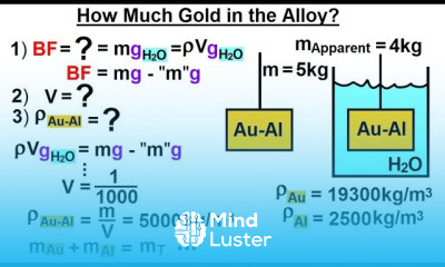 Physics Ch 33A Test Your Knowledge Fluid Statics 38 of 42 How Much Gold in the Alloy