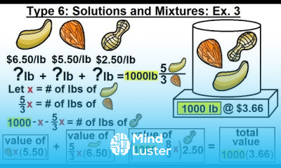 Algebra Ch 2 Word Problem 20 of 46 Type 6 Solutions and Mixtures Ex 3