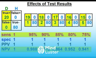 Prob Stats Bayes Theorem 20 of 24 Effects of the Test Results Example 1