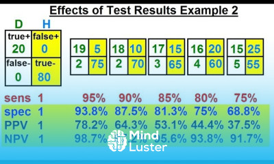 Prob Stats Bayes Theorem 21 of 24 Effects of the Test Results Example 2