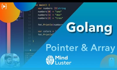 Learn Pointers and Arrays in golang - Mind Luster