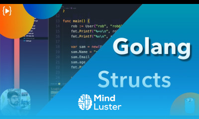 Structs in golang