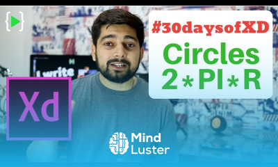 Circular progress bar and Pie chart in Adobe XD