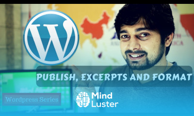 Publish excerpts and Format Wordpress series