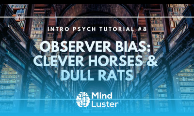 Observer Bias Clever Horses and Dull Rats Intro Psych Tutorial 8