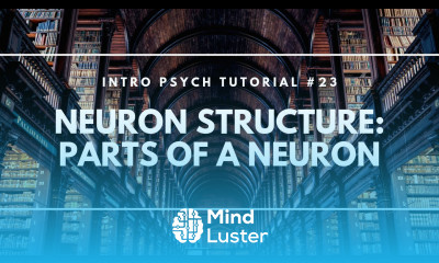 Neuron Structure Parts of a Neuron Intro Psych Tutorial 23
