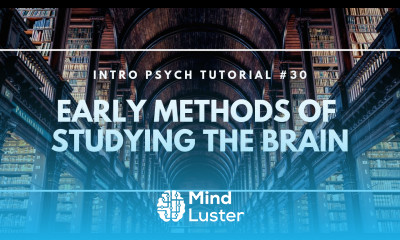 Early Methods of Studying the Brain Intro Psych Tutorial 30