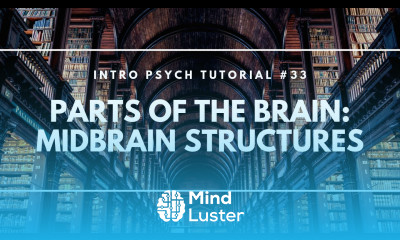 Parts of the Brain Midbrain Structures Intro Psych Tutorial 33