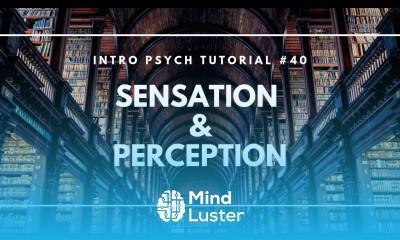 Introduction to Sensation and Perception Intro Psych Tutorial 40