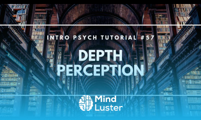 Learn Depth Perception Intro Psych Tutorial 57 - Mind Luster