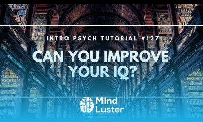 Learn Can You Improve Your IQ Intro Psych Tutorial 127 - Mind Luster