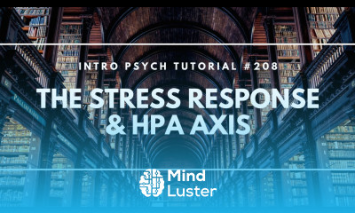 The Stress Response HPA Axis Intro Psych Tutorial 208