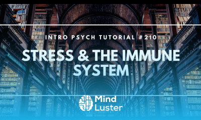 Stress The Immune System Intro Psych Tutorial 210