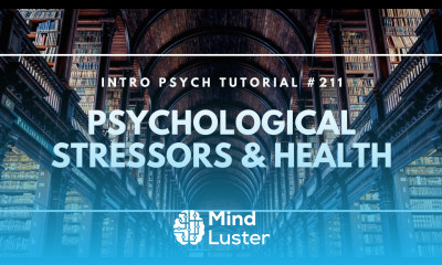 Psychological Stressors Health Intro Psych Tutorial 211