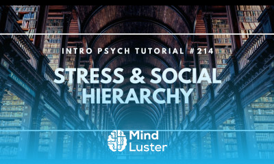 Stress Social Hierarchy Intro Psych Tutorial 214