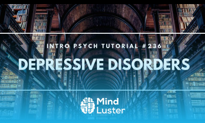 Depressive Disorders Intro Psych Tutorial 236