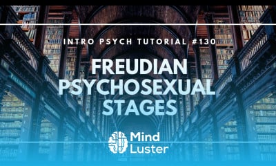 Freud s Psychosexual Stages Intro Psych Tutorial 130