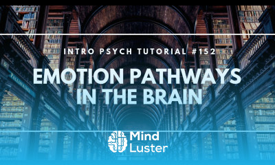 Emotion Pathways in the Brain Intro Psych Tutorial 152