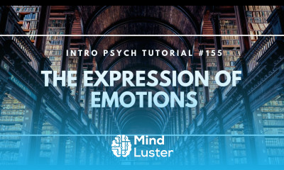 The Expression of Emotions Intro Psych Tutorial 155
