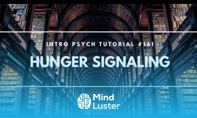 Hunger Signaling Intro Psych Tutorial 161