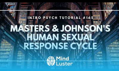Masters Johnson s Human Sexual Response Cycle Intro Psych Tutorial 165