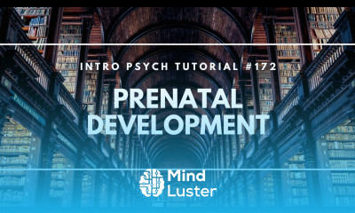 Prenatal Development Intro Psych Tutorial 172