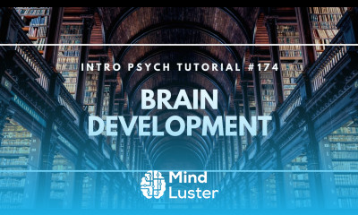 Early Brain Development Intro Psych Tutorial 174