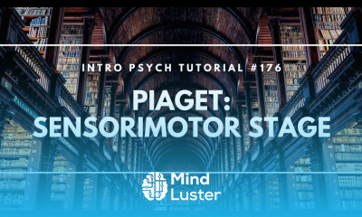 Cognitive Development Sensorimotor Stage Intro Psych Tutorial 176