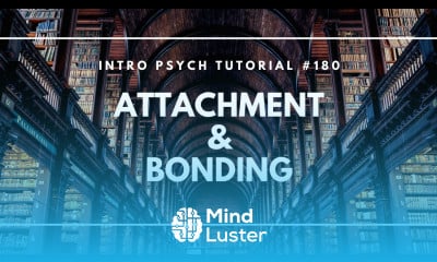 Attachment Bonding Intro Psych Tutorial 180
