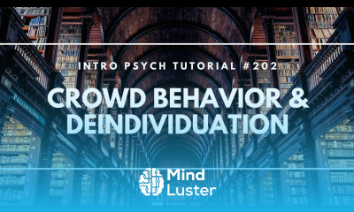 Crowd Behavior Deindividuation Intro Psych Tutorial 202