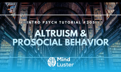 Altruism Prosocial Behavior Intro Psych Tutorial 205