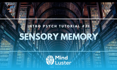 Sensory Memory Intro Psych Tutorial 71
