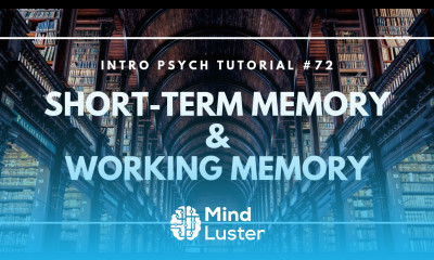 Short Term Memory and Working Memory Intro Psych Tutorial 72