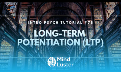 Long Term Potentiation LTP Intro Psych Tutorial 78