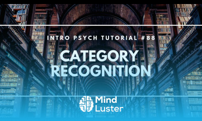 Category Recognition Intro Psych Tutorial 88