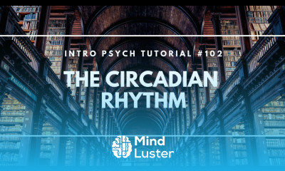 The Circadian Rhythm Intro Psych Tutorial 102